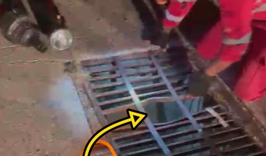 Mazgala düşen yavru kediyi itfaiye kurtardı