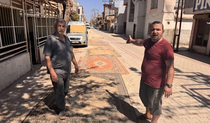 Vatandaşlar, asfaltlanmayan bozuk yollara halı serdi