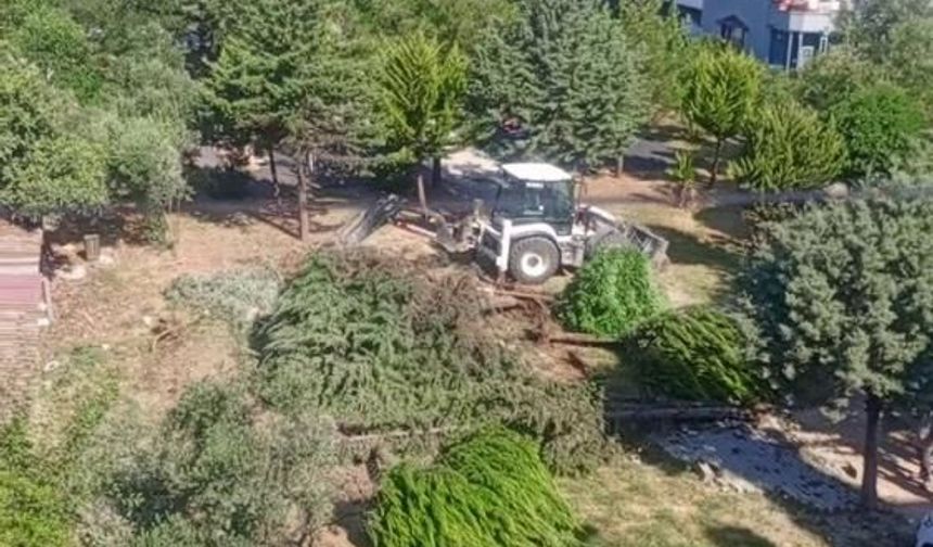 Parktaki ağaçların sökülmesine vatandaşlardan tepki