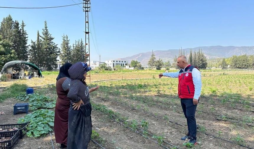 Antakya’da sebze üreticisiyle sahada istişare edildi