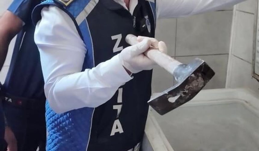 Fare dışkısından ve böcekten geçilmeyen fırındaki dondurucudan paslı keser çıktı