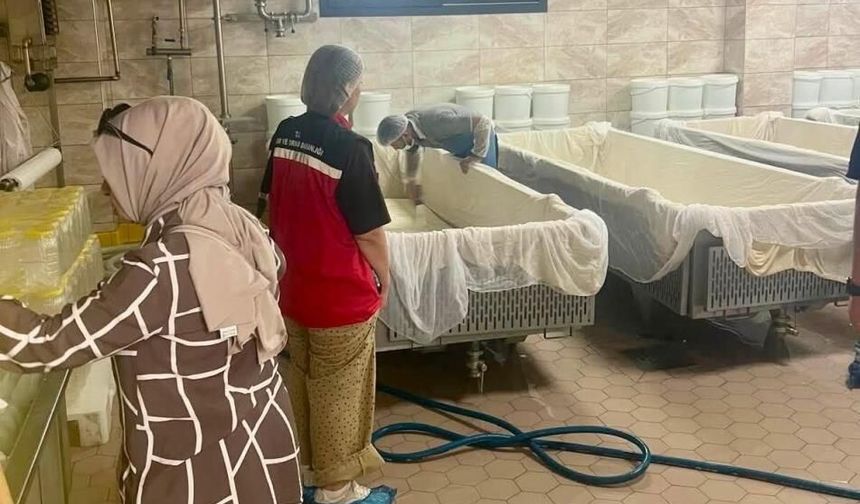 Hatay'da süt işleme tesisinde gıda güvenliği denetimi yapıldı