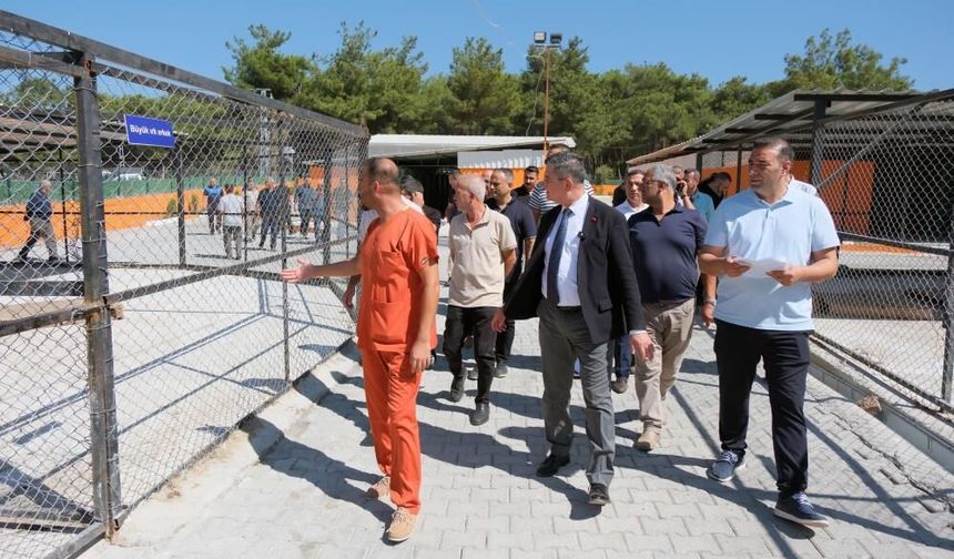 Hayvan bakımevi sokak hayvanlarının sıcak yuvası oldu