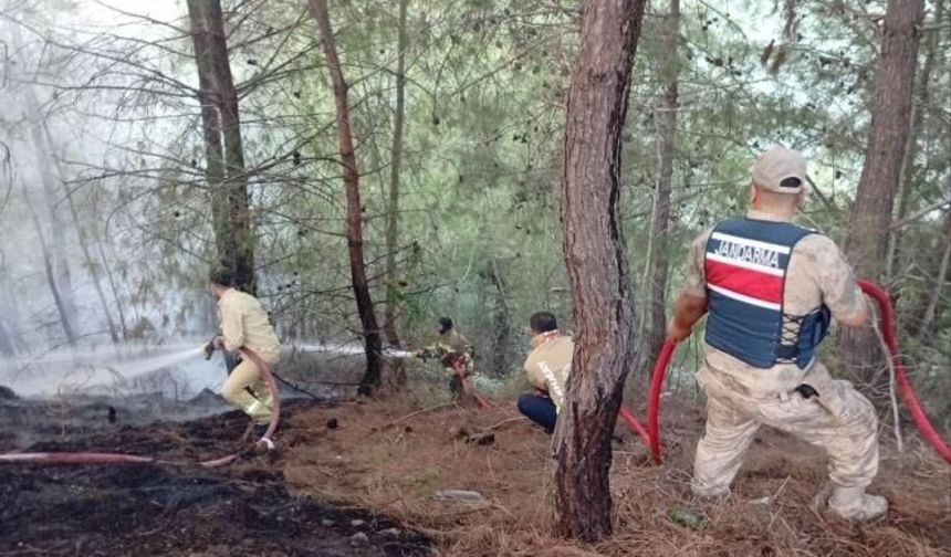Yayladağı’nda ormanlık alan yangını kontrol altına alındı