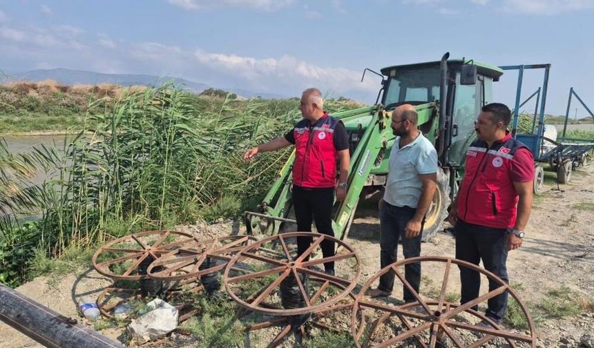 Antakya'da mısır hasadı devam ediyor