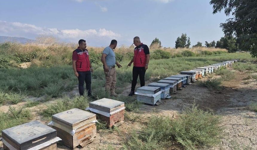 Antakya'da arıcılar bal sağımını sürdürüyor