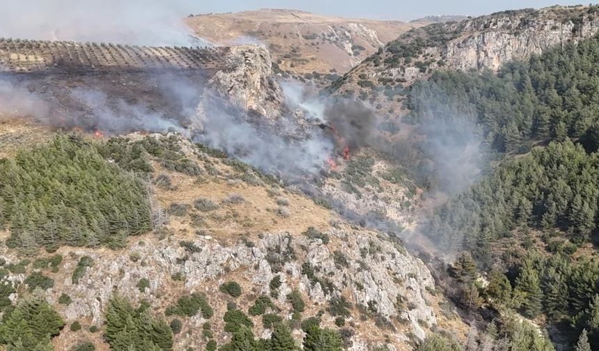Hatay’daki orman yangını kontrol altına alındı
