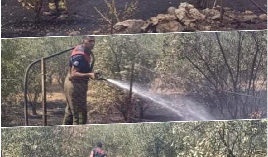 Dörtyol’da bahçe yangını kontrol altına alındı