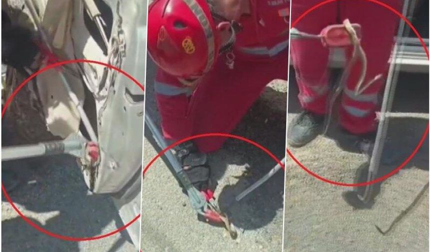 Aracına binerken fark ettiği yılanı itfaiye ekipleri yakaladı