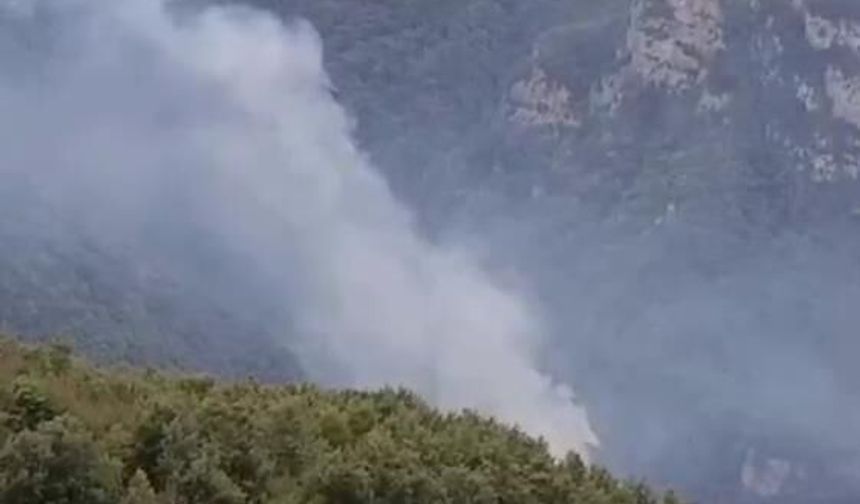 Hatay'daki orman yangını kontrol altına alındı