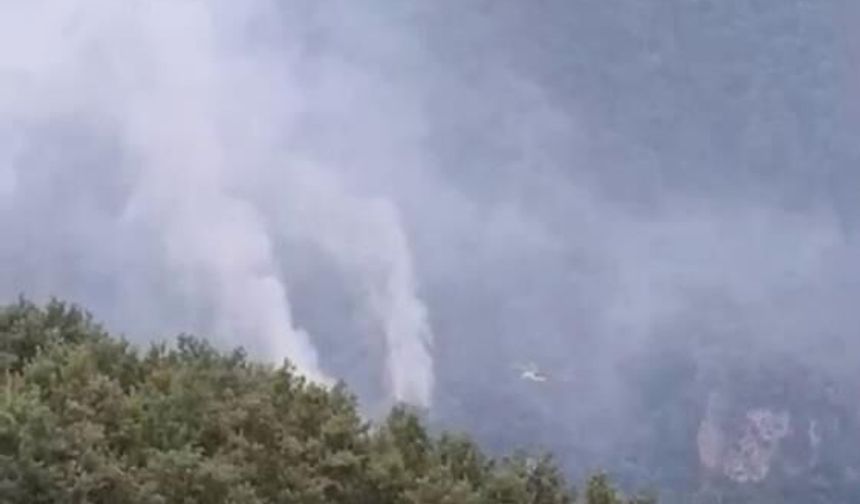 Hatay’daki orman yangınının enerjisi düşürüldü