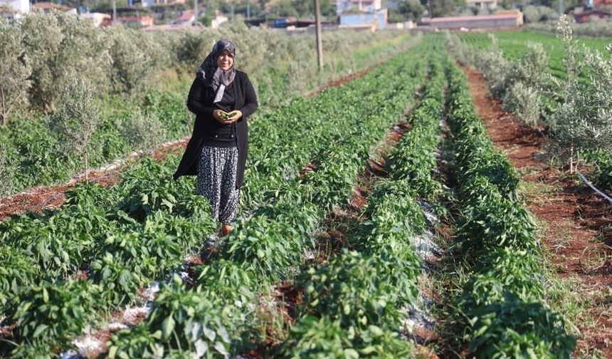 İlçenin tek kadın emlakçısı