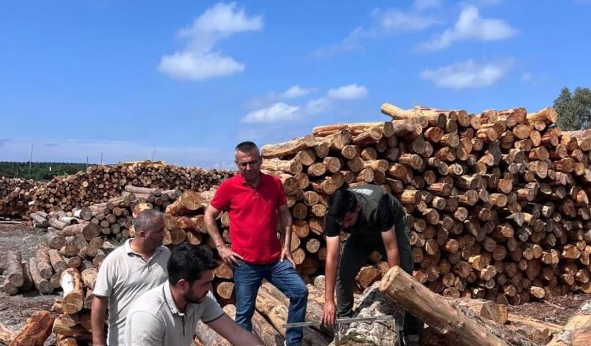 İskenderun Sahil Orman Deposu’nda inceleme