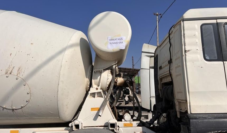 Miksere yuva yapan kumruların uçmasıyla 45 gün sonra araç yeniden çalıştı