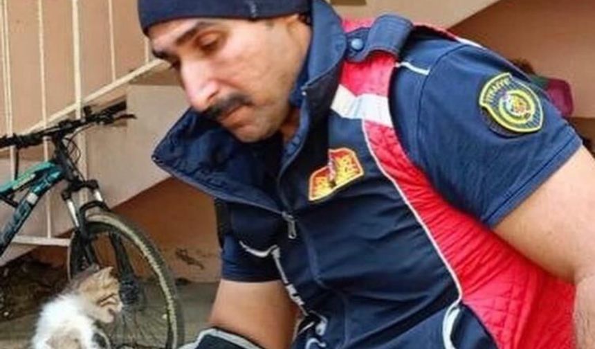 Belen ve Antakya’da mahsur kalan hayvanlar kurtarıldı