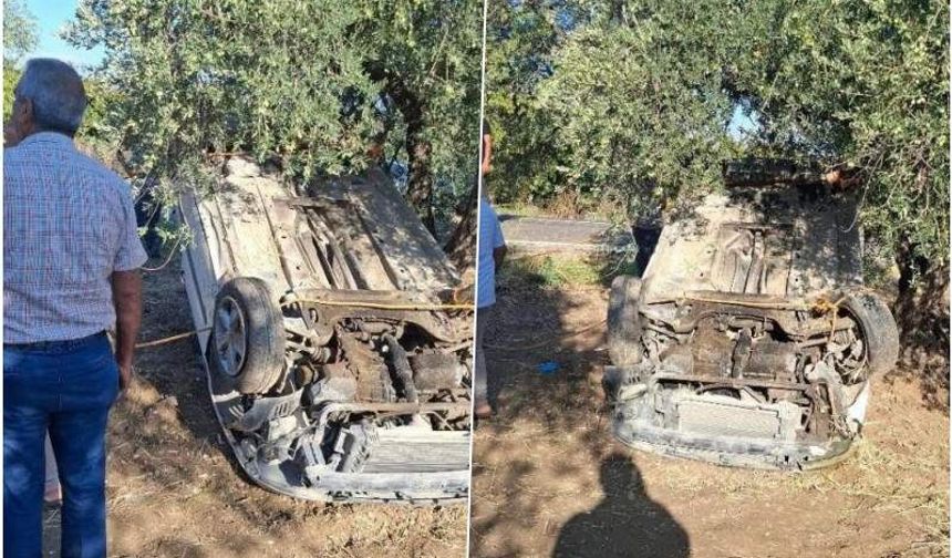 Otomobil zeytinliğe uçtu: 1 yaralı