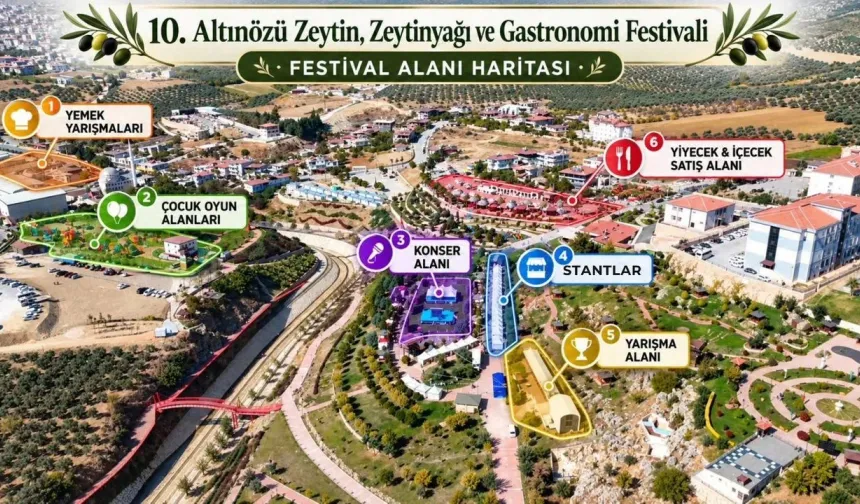 Altınözü Zeytin Festivali Başlıyor