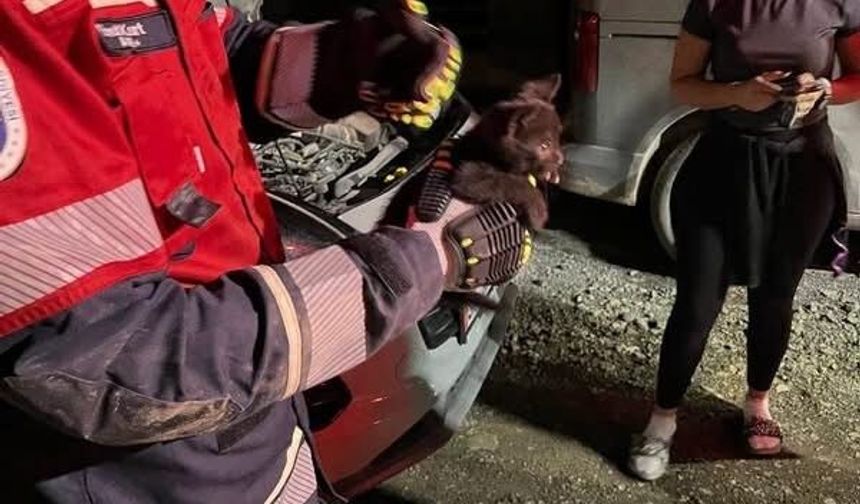 Arsuz’da aracın motoruna sıkışan kedi kurtarıldı